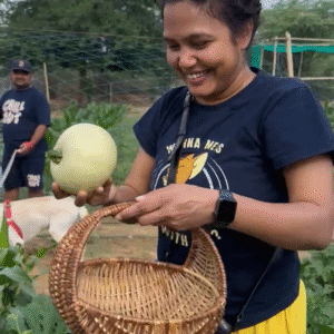 Harvest Day Book A Farm Experience