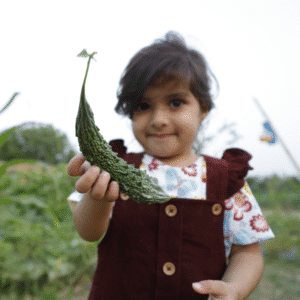 Cokheti Trial Box — Taste the Farm