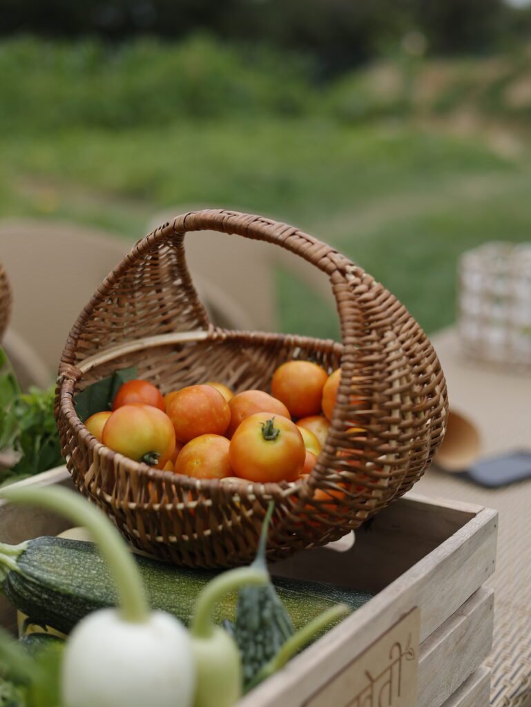 Best Organic Farm Plots in Delhi