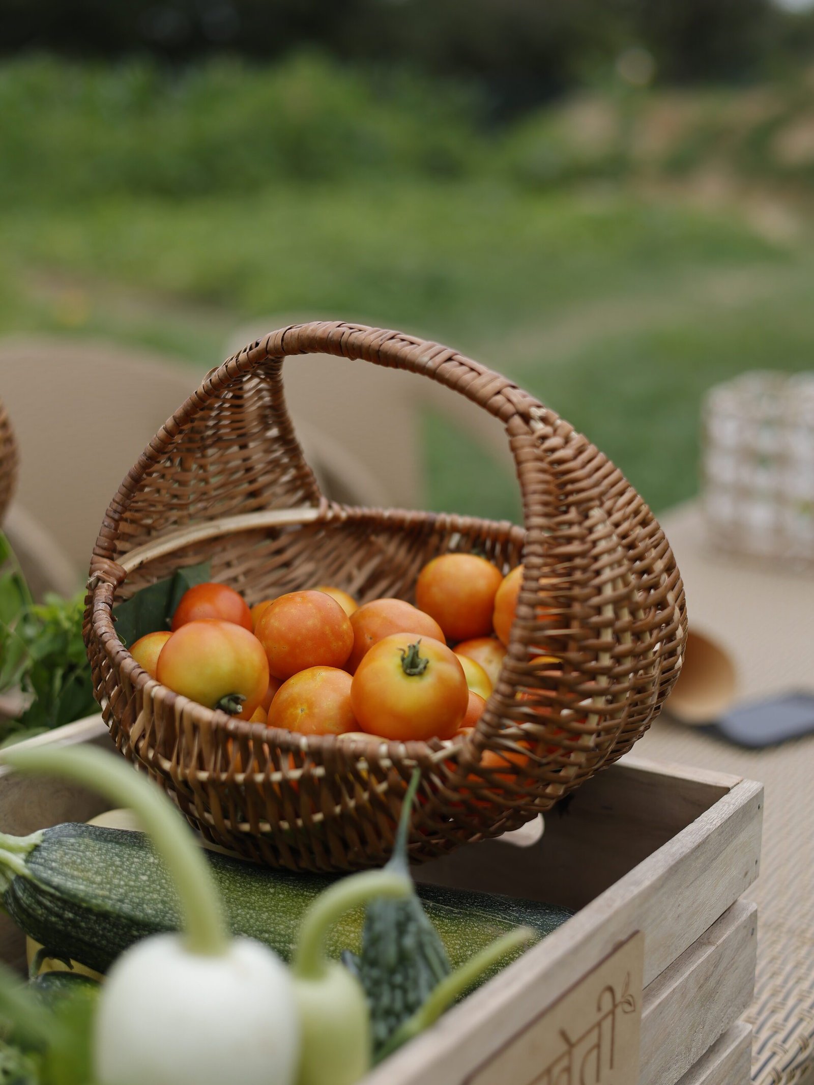 Best Organic Farm Plots in Delhi